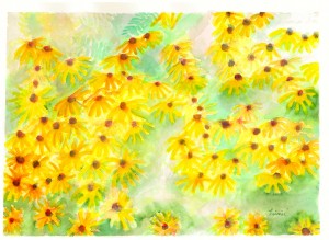 Black-Eyed Susans