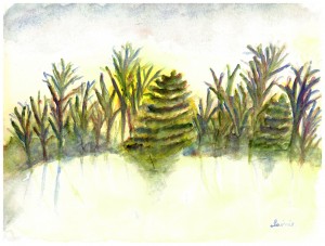 Fern