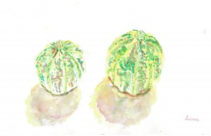 Green Gourds