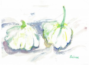 White Gourd