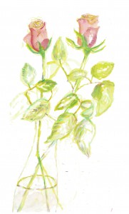 December Roses