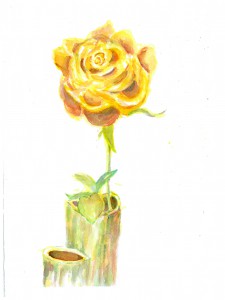 Yellow Rose