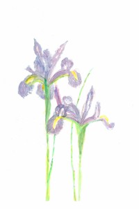 Blue Flower