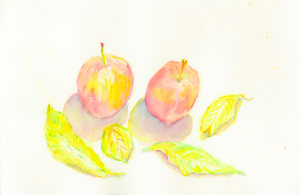 Apples with Leaves