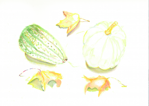 White Pumpkin with Gourd & Leaves