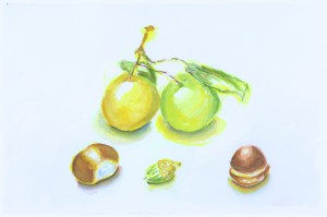 Still Life with Asian Pears