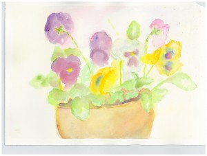 Pansies