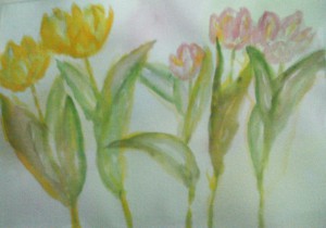 Spring Tulips