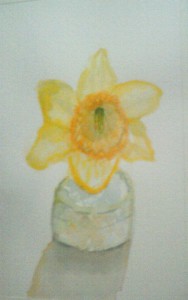 Daffodil Blossom